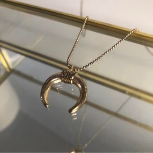 Crescent Horn Pendant Necklace